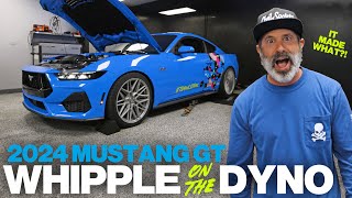 IT MADE WHAT Whipple Supercharged 2024 Mustang GT on the dyno [upl. by Skricki]