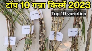 टॉप 10 गन्ना किस्में 2023  Top 10 sugarcane varieties [upl. by Caron632]