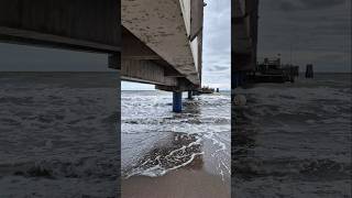 Seebrücke Dahme 🏖🌊 shorts balticsea travel germany [upl. by Sirtaeb]