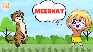 Meerkat Facts For Kids ☺️ Learn All About Meerkats  MON Kids [upl. by Crisey]