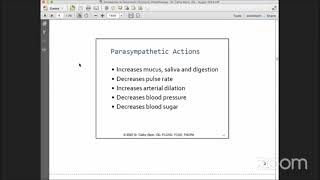 Introduction to Optometric Syntonic Phototherapy [upl. by Hanfurd]