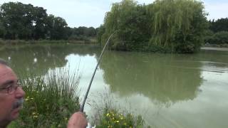 SHIRKOAK FISHERIES WOODCHURCH KENT ANGLERS MAIL TACTICAL BRIEFINGS [upl. by Ylellan429]