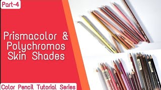 Skin tones of Prismacolor amp Polychromos Pencils [upl. by Ellenahc]