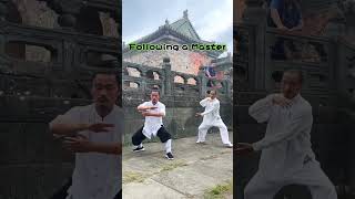 Following a Tai Chi Master Learning the famous Wudang Tai Chi Chuan [upl. by Ybroc]