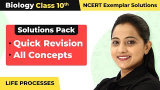 Class 10 Biology Unit 6 NCERT Exemplar Book  Life Processes  Quick RevisionAll Concepts 202223 [upl. by Olpe544]