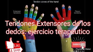 Tendones extensor de los dedos  fisioterapia [upl. by Odetta756]