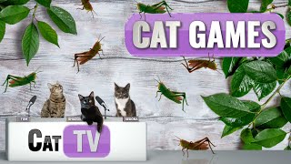 CAT Games  The Great Grasshopper Game  Cat TV 4K  Bug Videos For Cats to Watch  😼 🦗 [upl. by Bryant]