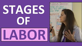 Stages of Labor Nursing OB for Nursing Students  Stages of Labour NCLEX Explained Video Lecture [upl. by Brenza560]