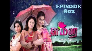 THAMARAI EPISODE 802  0372017 [upl. by Ileray448]