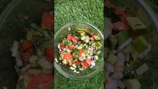 Kachumar Salad  Salad Bar Part 3 kachumbersalad saladbar viralvideo shadiwalasalad cooking [upl. by Wakeen218]