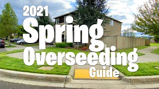 How To OVERSEED your lawn in SPRING 2021 Step by Step Guide  Easy process with AMAZING RESULTS [upl. by Audre570]