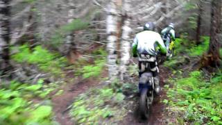 Suzuki RMZ250 Honda CR250s Trail Riding [upl. by Greene]