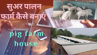 सूअर पालन फार्म कैसे बनाएंhow to make pig 🐖 farm सूअर पालन करने का तरीका [upl. by Trovillion455]