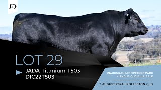 Lot 29  JADA Titanium T503 DIC22T503 HBRregistered Angus Bull [upl. by Rednasxela]