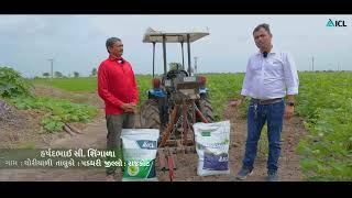 ICL Farmer Testimonial  Polysulphate Premium  Cotton  ICL India [upl. by Aidole]