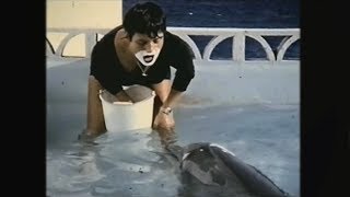 Teaching a dolphin to speak English  The Girl Who Talked to Dolphins Preview  BBC Four [upl. by Neros251]