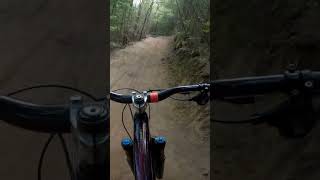 MTB💥SampM trail POV at Rogate Bikepark mtb mtbbike bike mtbjump mtblife trail bikepark jump [upl. by Pepita]