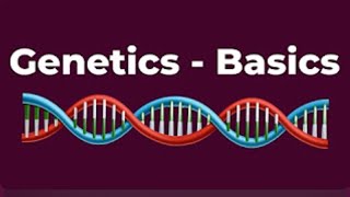 Developmental Psychology  BASICS OF GENETICS  Introduction to Genetics  DNA RNA Genes [upl. by Ahtreb]