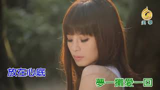 莊振凱《夢中再相會》Ft戴梅君 KTV版 左伴右唱 Official Music Video  『一聲愛』專輯 [upl. by Gersham864]