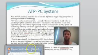 ATP CP energy systsem [upl. by Etteval]