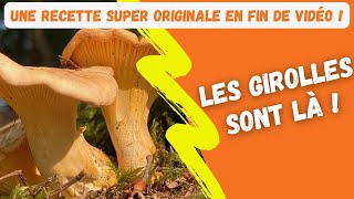 Les girolles sont là [upl. by Nauht980]