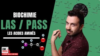 Les acides aminés  🧬 Comment les classer pour les APPRENDRE  Mes astuces de BIOCHIMIE [upl. by Margaux]