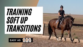 Training A Horse To Go From A Soft Aid [upl. by Getraer]