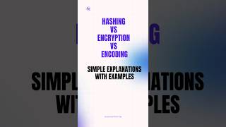 Hashing vs Encryption vs Encoding Simple Explanations with Examples shorts [upl. by Nainatrad]