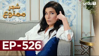 ShajareMamnu  Episode 526  Turkish Drama  Forbidden Fruit  Urdu Dubbing  13th February 2023 [upl. by Nitsuj164]