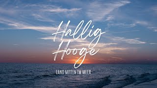 Hallig Hooge Land mitten im Meer [upl. by Yorgerg]