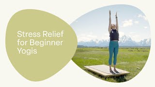 Stress Relief for Beginner Yogis [upl. by Eileek]