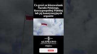 Co grozi za lekceważenie Narodu Polskiego Rzeczypospolitej Polskiej lub jej konstytucyjnych organów [upl. by Ramedlaw]