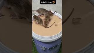 simple rat trap viralvideo trending [upl. by Drusi]