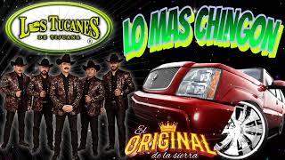 ✪lo mas chingon de corridos ✴️ los tucanes de Tijuana ✪✪ [upl. by Dorehs468]