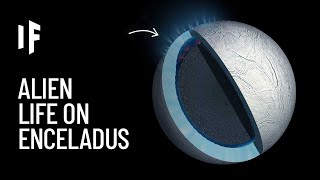 What If We Found Alien Life on Enceladus [upl. by Burnside]