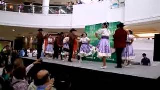 BALLET FOLKLÓRICO KADIMA POLKA GUAJOLOTES [upl. by Liagiba]