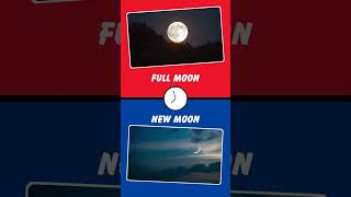 🌕 Full Moon or 🌑 New Moon Which Lunar Phase Do You Prefer 🤔 shortvideo [upl. by Naig]