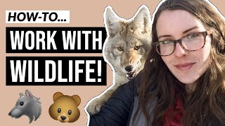 How to Become a Wildlife Biologist in 5 minutes [upl. by Selyn613]