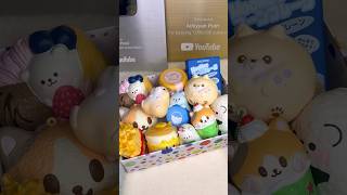 IBLOOM SQUISHY COLLECTION  ASMR [upl. by Kaltman436]