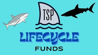 TSP Lifecycle Funds [upl. by Eybba]