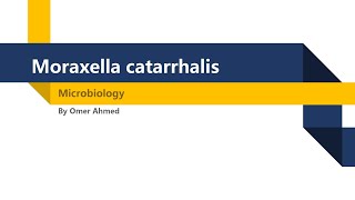 Microbiology  Moraxella Catarrhalis [upl. by Nywles326]