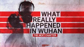 What Really Happened in Wuhan New evidence on COVID19 origins [upl. by Adlei]