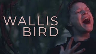 Wallis Bird  As The River Flows official [upl. by Adnolahs813]