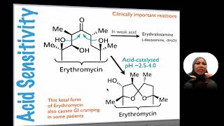 17241B Macrolides [upl. by Yrek]