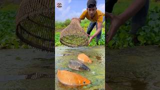 Unbelievable Polo Challenge Fishing Video  shorts shortsfeed funny polo fishing unique [upl. by Ayote]