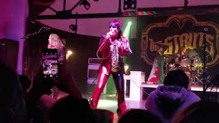 The Struts Primadonna Like Me Tula [upl. by Una112]