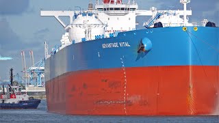 LNG POWERED SUPERTANKER VLCC quotADVANTAGE VITALquot LEAVES ROTTERDAM PORT  4K SHIPSPOTTING AUGUST 2023 [upl. by Ahsauqal751]