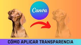 CANVA CÓMO PONER IMAGEN TRANSPARENTE EN CANVA ACTUALIZACIÓN [upl. by Buchanan]