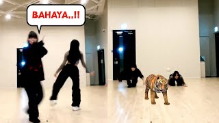 SUB INDOENG 😱 BAHAYA DITA amp ZUU SECRET NUMBER DANCE CLASS [upl. by Inatirb]