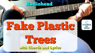 Fake Plastic Trees by Radiohead Chords and Lyrics  Acoustic Guitar Cover [upl. by Leilah]